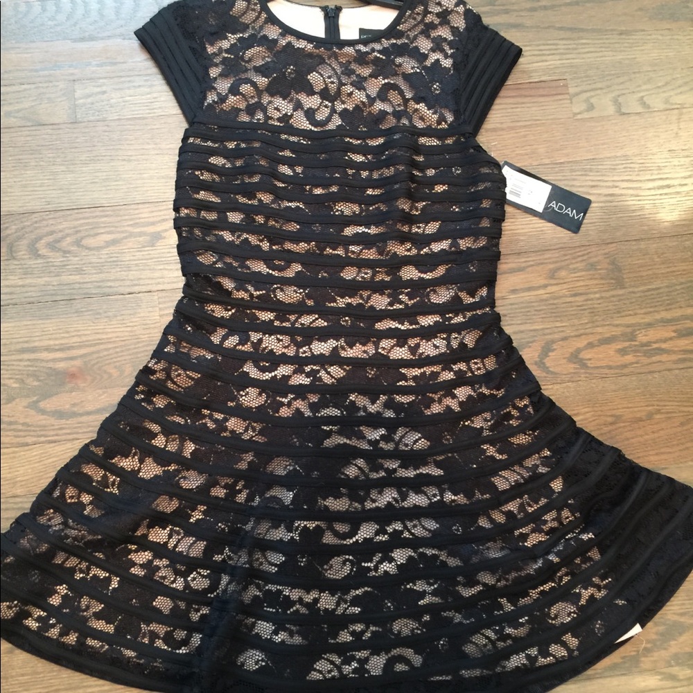 NWT Betsy & Adam sheath cap sleeve trumpet fit &flare dress